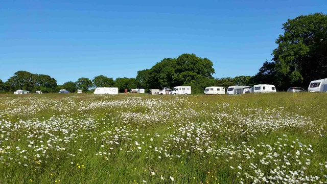 Comforts Farm campsite