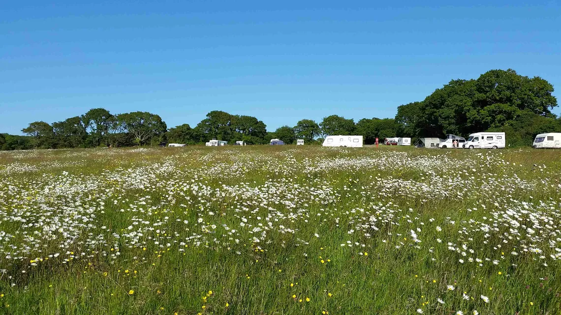 Comforts Farm campsite