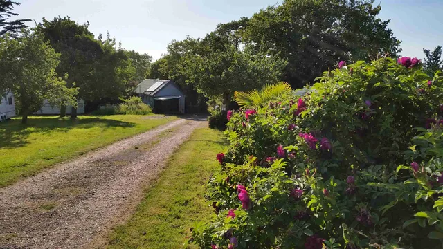 Lane to Comforts Farm