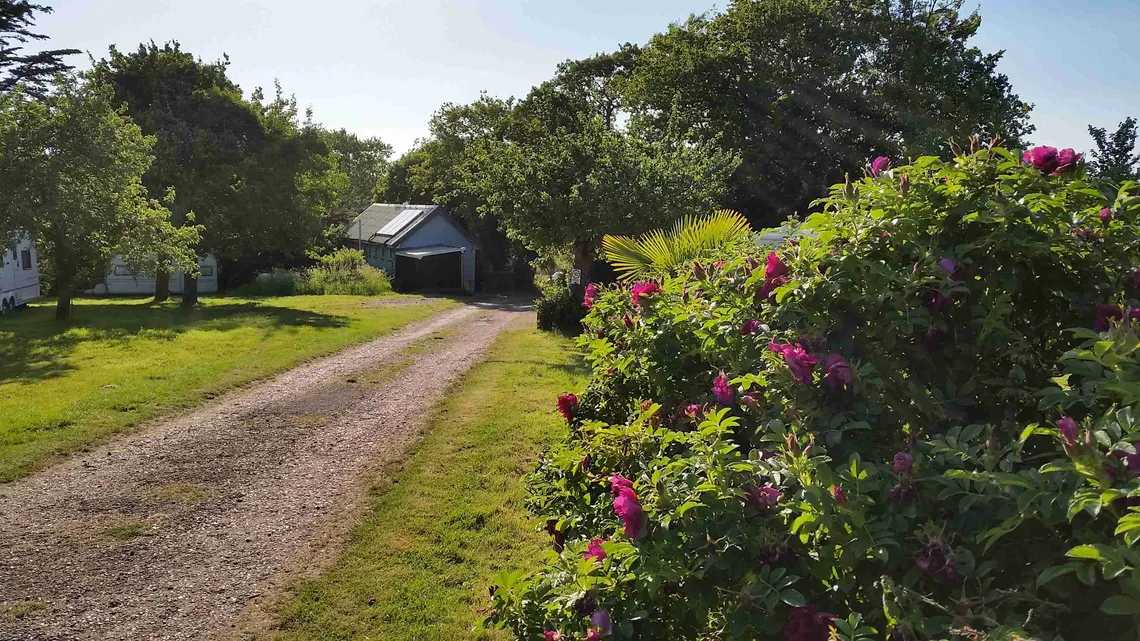 The lane to Comforts Farm